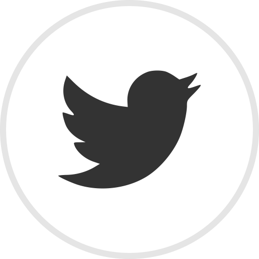 logo footer twitter